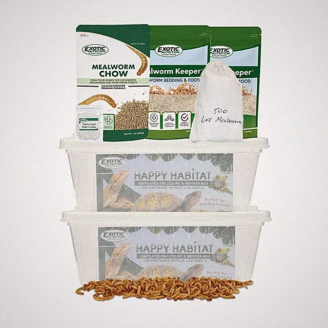 Mealworm Breeder Kit (Expanded) - Breed Live Feeder Worms for Hedgehogs, Suga...
