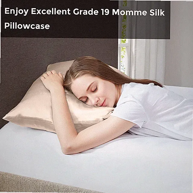 One Silk Pillowcase 100% Mulberry Worm MPT21-0123, Taupe