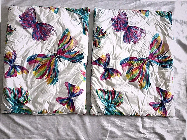POTTERY BARN KIDS by Etta Vee Butterfly set of 2 padded standard shams.