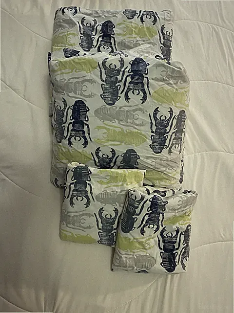 Pottery Barn Kids Queen Size Beetle/Insect/Critter/Bug Sheet Set Good Condition